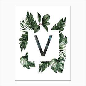 Botanical Alphabet V Canvas Print