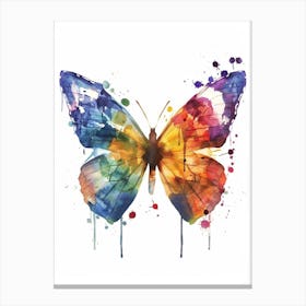 Butterfly Colourful Watercolour 4 Canvas Print