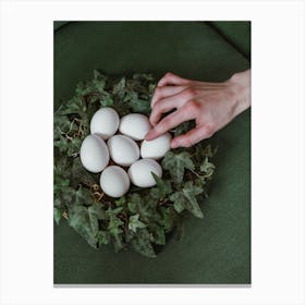 White Eggs In A Nest Canvas Print