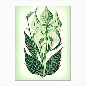 Solomon S Seal Leaf Vintage Botanical Canvas Print