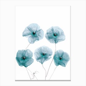 Blue Delicate Flowers Canvas Print