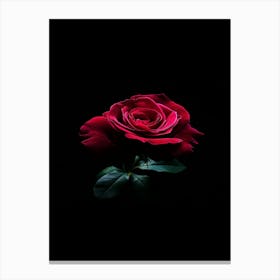 Red Rose On Black Background 29 Canvas Print