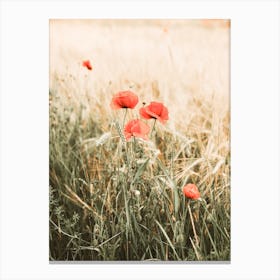 Poppy Flowers Canvas Print