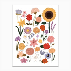 Flower Chart In White Canvas Print