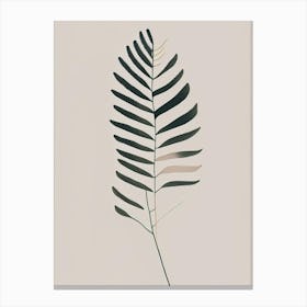 Sensitive Fern Simplicity Canvas Print