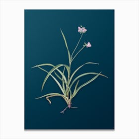 Vintage Spiderwort Botanical Art on Teal Blue n.0067 Canvas Print