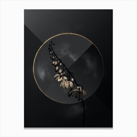 Shadowy Vintage Giant Cabuya Botanical in Black and Gold n.0139 Canvas Print