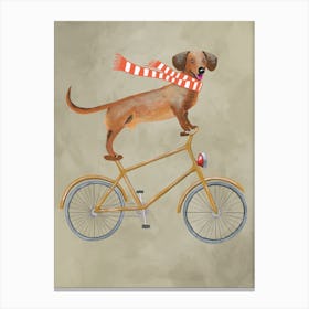 Dachshund On Bicycle With Sjawl Canvas Print