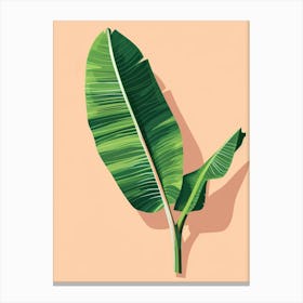 Banana Leaf Vector Illustration Canvas Print