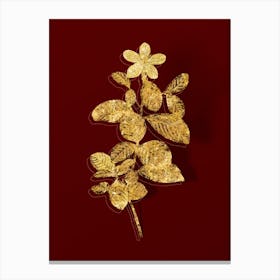 Vintage Gardenia Botanical in Gold on Red n.0155 Canvas Print