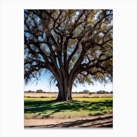 Large Oak Tree Canvas Print