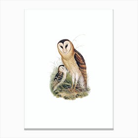 Vintage Grass Owl Bird Illustration on Pure White n.0244 Canvas Print