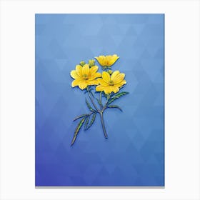 Vintage Golden Coreopsis Flower Botanical Art on Blue Perennial n.1164 Canvas Print