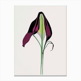 Jack In The Pulpit Floral Minimal Line Drawing 3 Flower Canvas Print