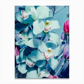 Blue Orchids Canvas Print