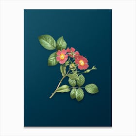 Vintage Redleaf Rose Botanical Art on Teal Blue n.0445 Canvas Print
