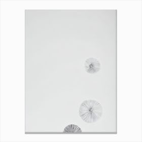 Sea Urchin Roe Black & White Drawing Canvas Print