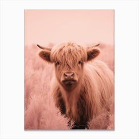 Pink Portrait Of Highland Cow Realistic Photography Style 2 Canvas Print