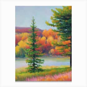 Norway Spruce Tree Watercolour Canvas Print
