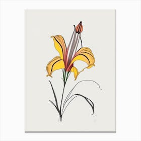 Tiger Lily Floral Minimal Line Drawing 4 Flower Canvas Print