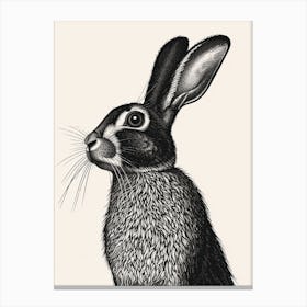 Belgian Hare Blockprint Illustration 3 Canvas Print