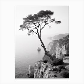 Capri, Italy, Black And White Photography 2 Canvas Print