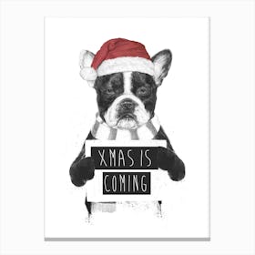 Xmas is Coming Canvas Print