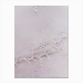 Pink Salt Lake Textures Canvas Print