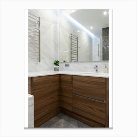 Modern Bathroom 2 Canvas Print