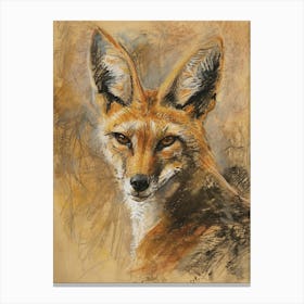 Jackal Pastel Watercolour 4 Canvas Print