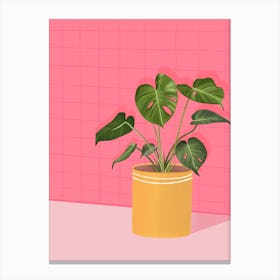 Pink Monstera Canvas Print