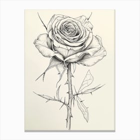 English Rose Black And White Line Drawing 33 Canvas Print
