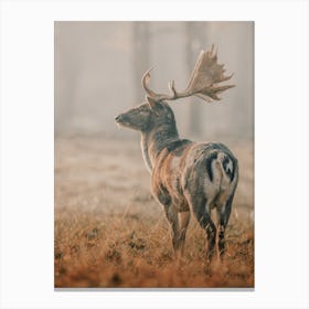Misty Forest Deer Canvas Print