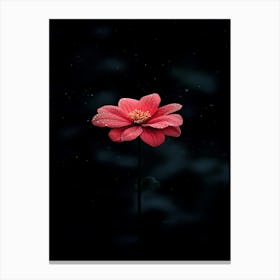 Flower In The Dark Canvas Print