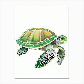 Foraging Sea Turtle, Sea Turtle Vintage 1 Canvas Print