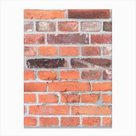 Brick Wall Texture Canvas Print