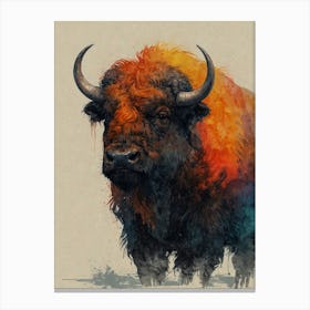 Buffalo Canvas Print Canvas Print