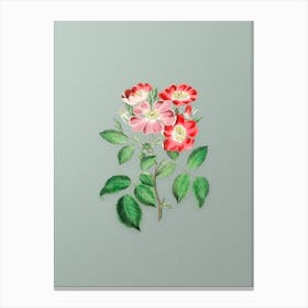 Vintage Rose Clare Flower Botanical Art on Mint Green Canvas Print