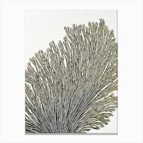 Acropora Suharsonoi Iii Linocut Canvas Print