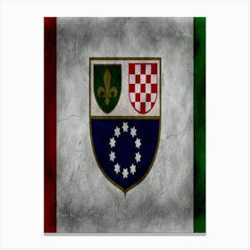 Bosnia And Herze Govina Flag Texture Canvas Print