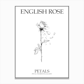 English Rose Petals Line Drawing 1 Poster Canvas Print