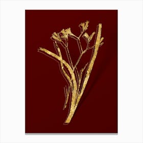 Vintage Anigozanthos Flavida Botanical in Gold on Red n.0544 Canvas Print