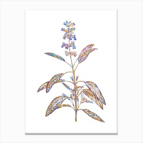 Stained Glass Sage Plant Mosaic Botanical Illustration on White n.0130 Canvas Print