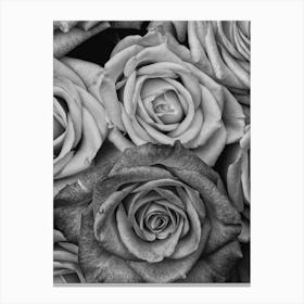 Vintage Style Roses Black And White Copy Canvas Print