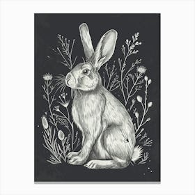 Polish Rex Rabbit Minimalist Illustration 4 Canvas Print