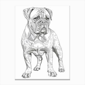 Dogue De Bordeaux Line Sketch 2 Canvas Print