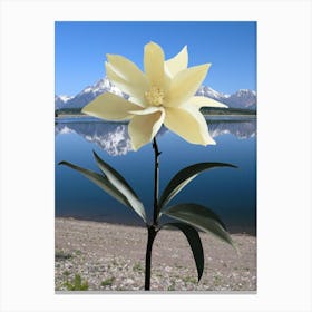 Hermosa Flor,Lago De Bariloche Canvas Print