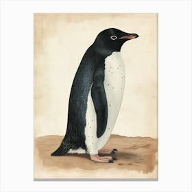 Adlie Penguin Saunders Island Vintage Botanical Painting 3 Canvas Print