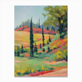 Cedar Tree Watercolour Canvas Print