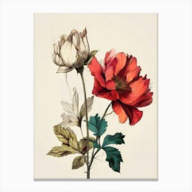 Three Flowers Canvas Print